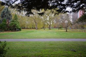 Photo 7- click for photo gallery